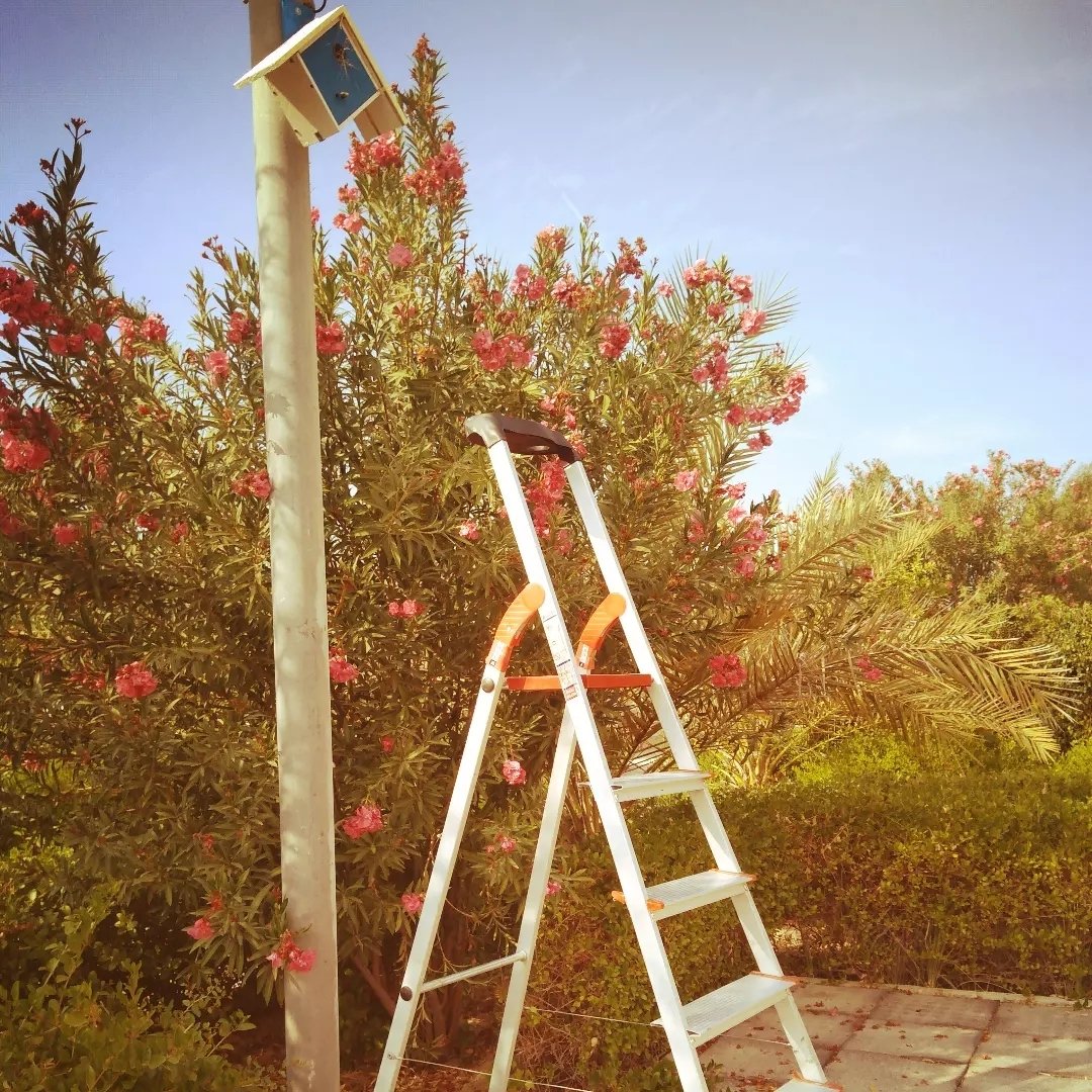 خانه پرنده مدل لوزی معکوس